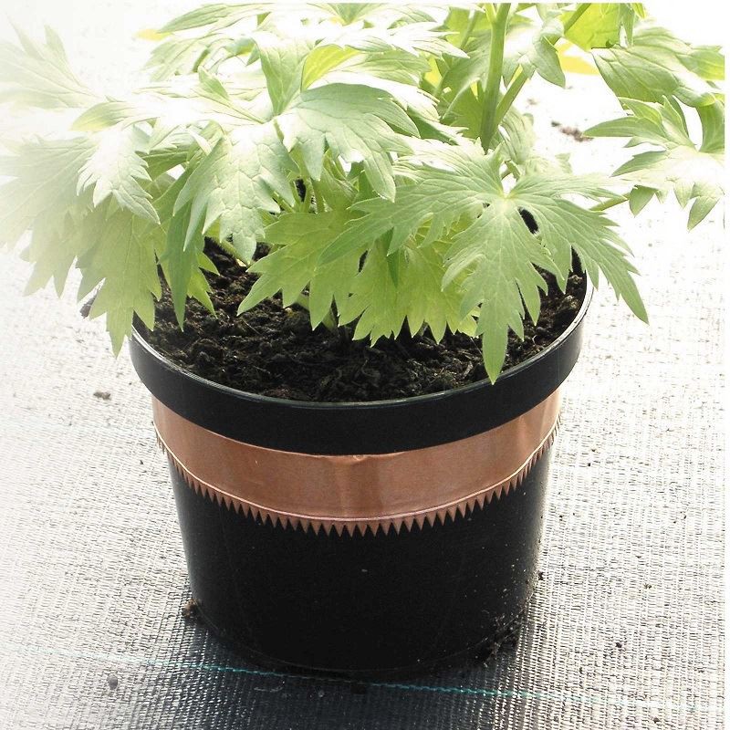 copper barrier tape.jpg copper barrier tape.jpg